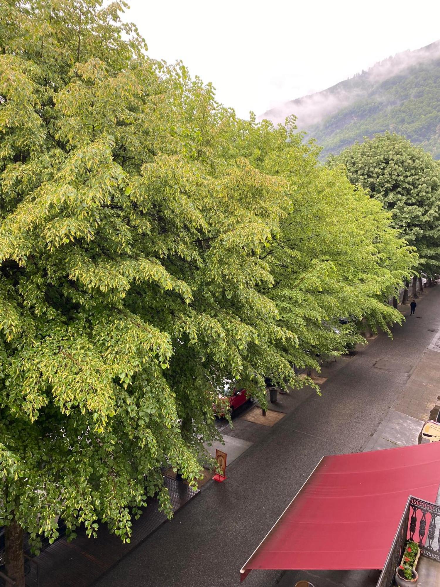 Au 47 Allees D'Etigny - Central & Standing - Avec Parking - Linge De Lit Et De Toilette Inclus Bagnères-de-Luchon المظهر الخارجي الصورة